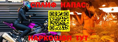 тгк Будённовск