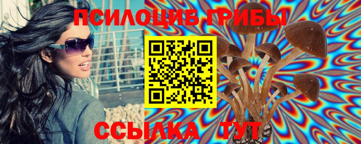где найти   Галлюциногенные грибы MAGIC MUSHROOMS  Вход с VPN  Кольчугино 